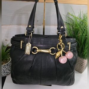 Coach Hamptons Pleated Carryall Black Including Pink Boutique Cherries